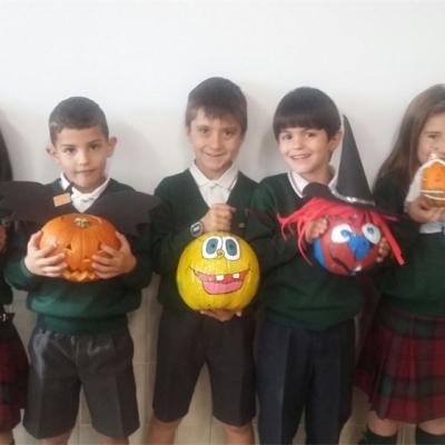 20171031photo00000006