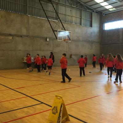 F3c63303d4c04548b52d9833274d9afc