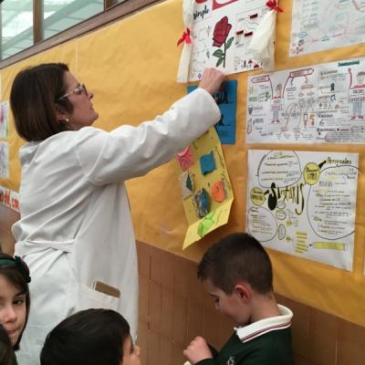 00a Unadjustednonraw Thumb A6