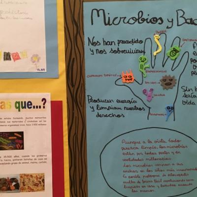 Unadjustednonraw Thumb 8a