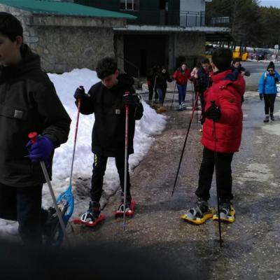 0313ef8c7b41448eaf7b2ae362214e88