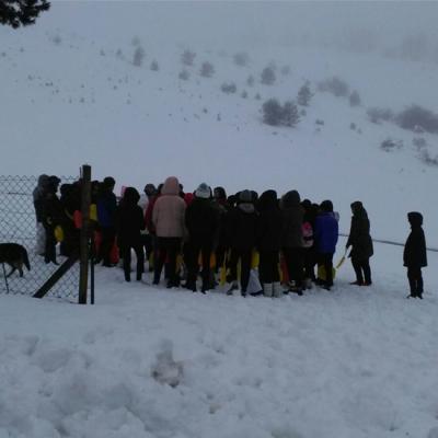 15852745003d4ddeac398fad3ee00ae5