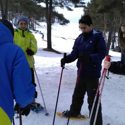 52058ca317e44af0bdff6626aaa513b9