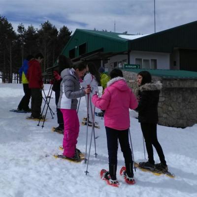 A536aa5b8530402a95edf3160075543a