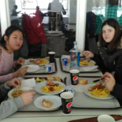 C14ff0a4186b4419a2a9477106fa7b4c