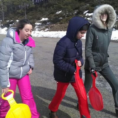 C5542cf366684a8386aaddfab8dbd799