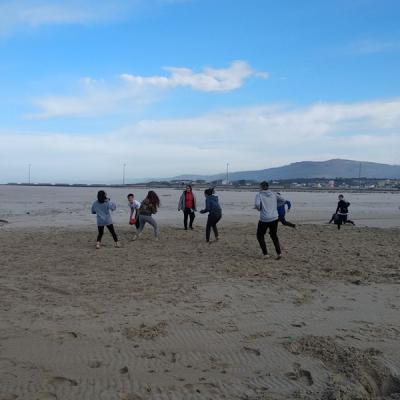 433eb99c34214da5b7bbb428cf1eb491