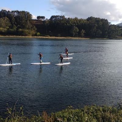 9ee0a83d209640c9af131d2d30f9e2c5