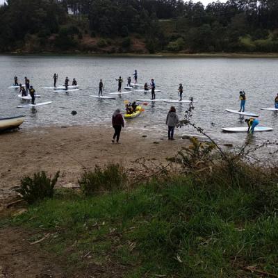 Be39d30a7d9340d99b220677be1d2bbc