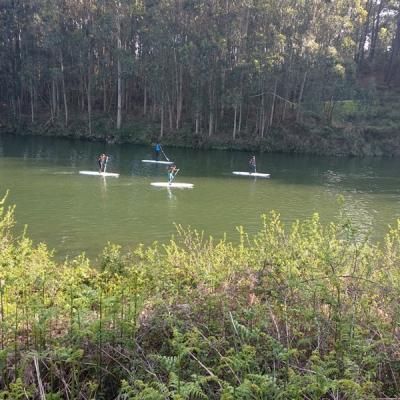 Ce1c0482774242e682bd99aed602f843