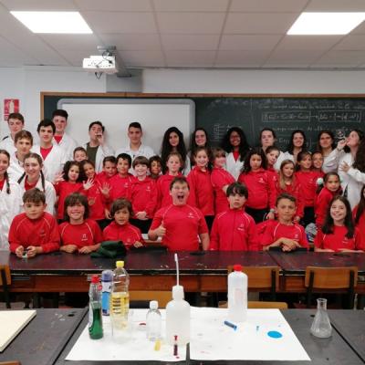 0aafdde17033f9149e0b96b7b5237687ec2