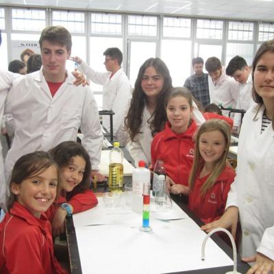 1b7995d57cee46f785613b2ed4c389c8