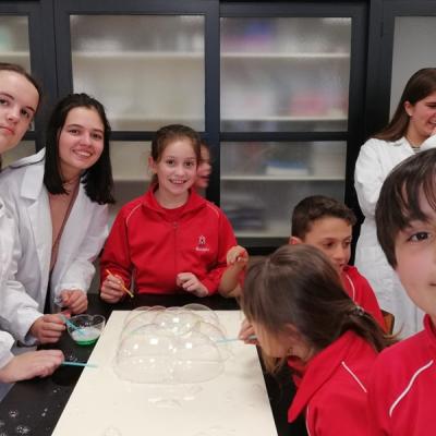 23ae7a5fff08441e9c4c296de016772f