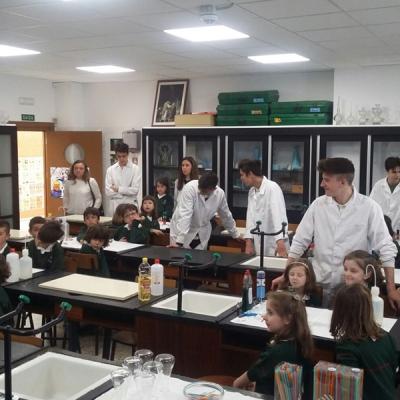 2f07c3fa45cc4448bbb5e42a04c8ec1f