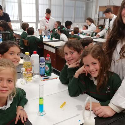 2fccd64c5cab48cc8370fd2ab99b6c83