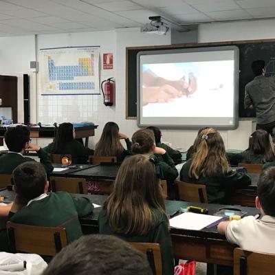 46f50599ee214295b78038e479ad9f95