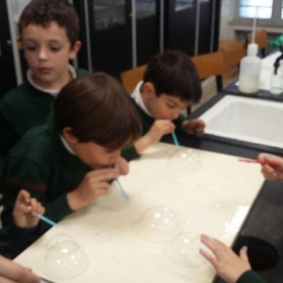 50990b96c6eb460baa15e2a51f412d41