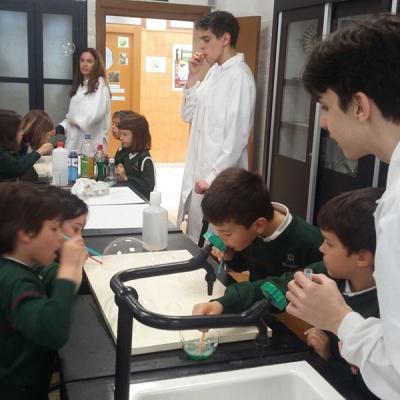 674ced0abd0c40508cf6d68a3557dbfc