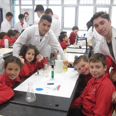 724da5baa5874d60a7b34a1d111cc350