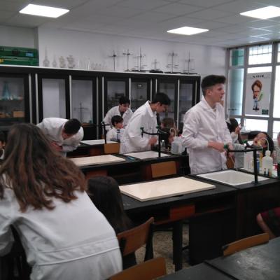 80c5b7bd50d245e3bd53c8bbb08019b2