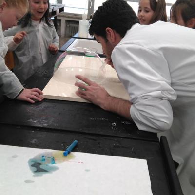 8283f040f9e14b2fa5fae9f2f7774ec1