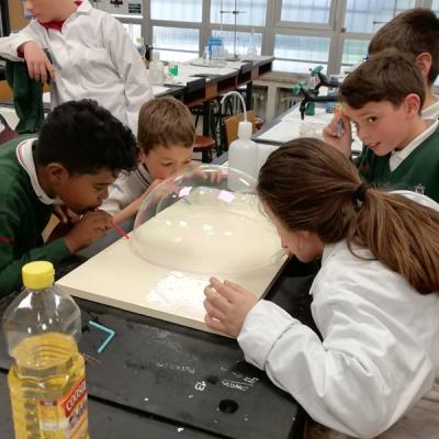 91373f5d163549089f0d4a7ca2b8a79c