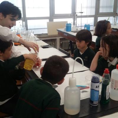 9229575bbcb442e09c0561646ad9463a