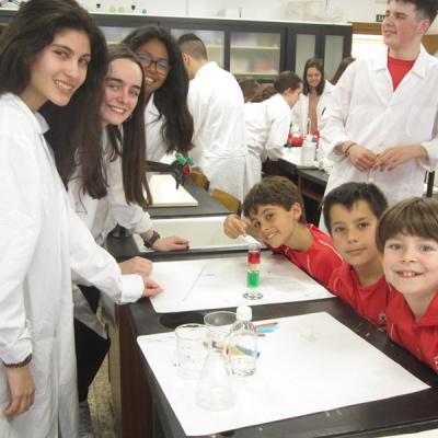 Ca7cc8e256734eb7a3dc914e4204e51d