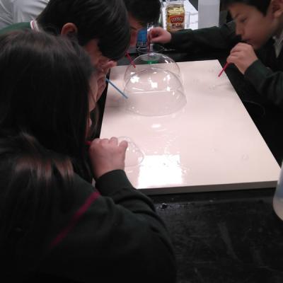 Cc05cc775ec743468609c75741396995