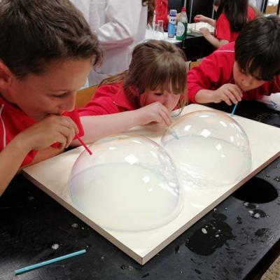 E349d50e234b42a7bfb62819183cfd10