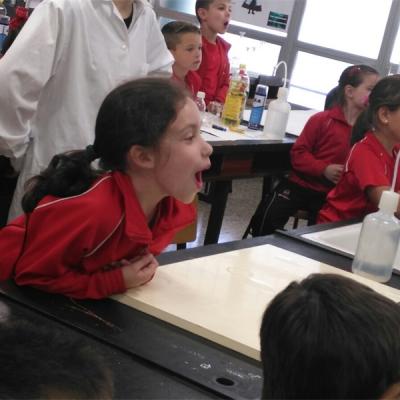 Ead7c2f4319147e0badb3b3025afa6d7