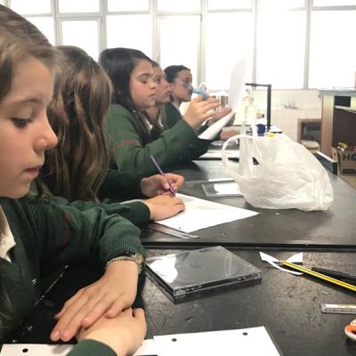 Ecb6f1e811244fb8ae985ba5eec6121d