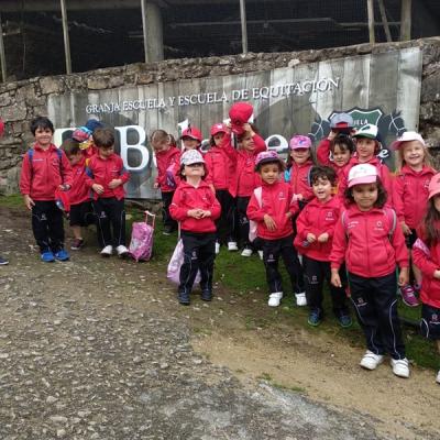 33c557df8dfb4ea689775e9cb0f86fd3