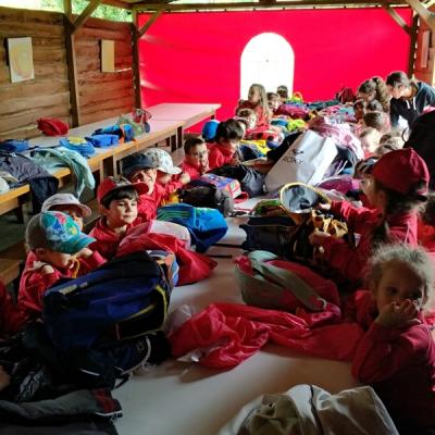 74cd5240607344ddabb6098942125fa8