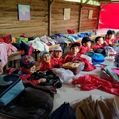 84784bdbfd3b455ea3b27c9bbe971271