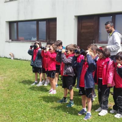 Thumbnail 20180608 130330