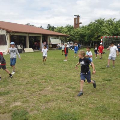 7af7efa0f25b4ead9b54ab657654390f