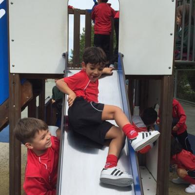 Mateo En El Patio De Comedor