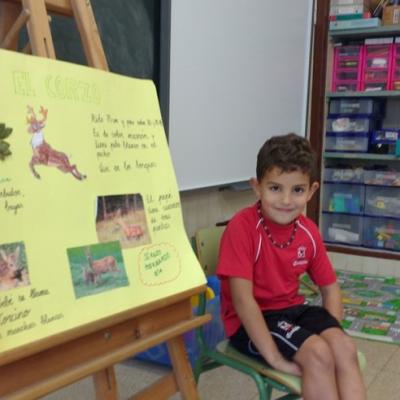 012 Img 20161103 153442965