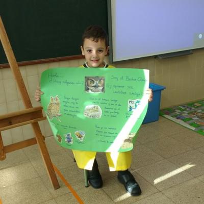 015 Img 20161102 100217521