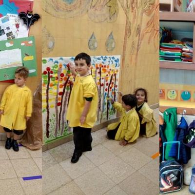 019mm Img 2019 Copia 2