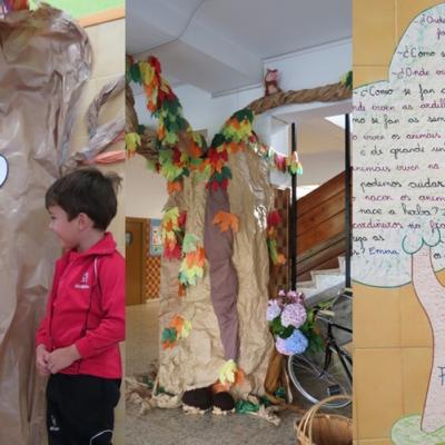 019mm Img 2019 Copia 3 Copia