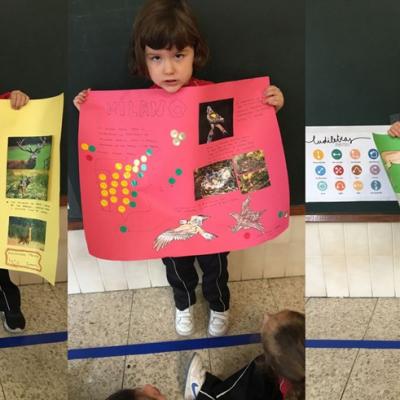 019mm Img 2019 Copia