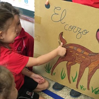 028 Foto 31116 10 02 23