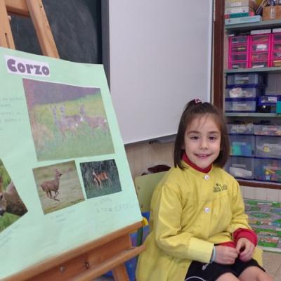 028 Img 20161103 153204129