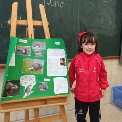 07 Img 20161107 161458810