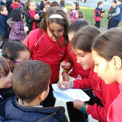 Img 20161114 11 Copia 3