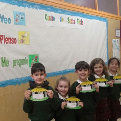 Veo Pienso Me Pregunto 2