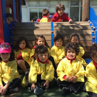 Paulaclaudiaanxoinesadrihugodanielayloredana