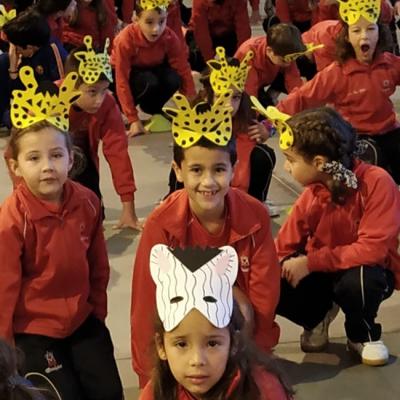 Thumbnail 1658dd09ef7746408a02de7bb8bad89f